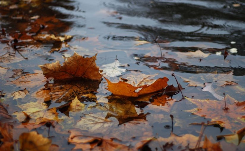 Autumn Rain and Your HVAC